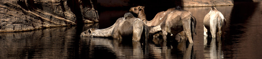 tchad, gole di archei